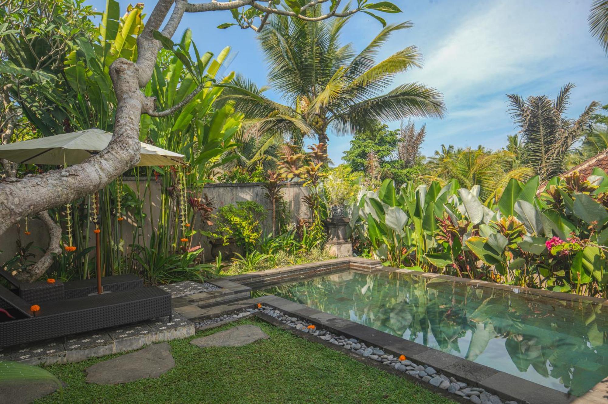 Taluh Bebek Ubud Private Villas Zewnętrze zdjęcie