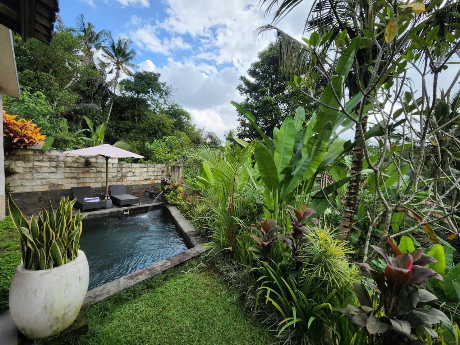 Taluh Bebek Ubud Private Villas Zewnętrze zdjęcie